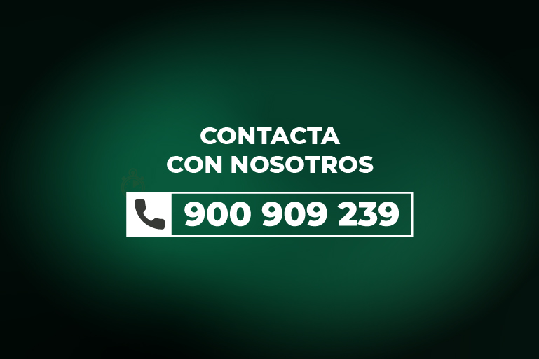 contacta